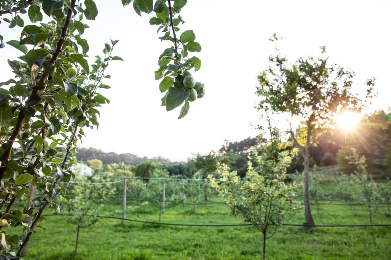 A Quinta Das Maceiras Os Casares Esterno foto