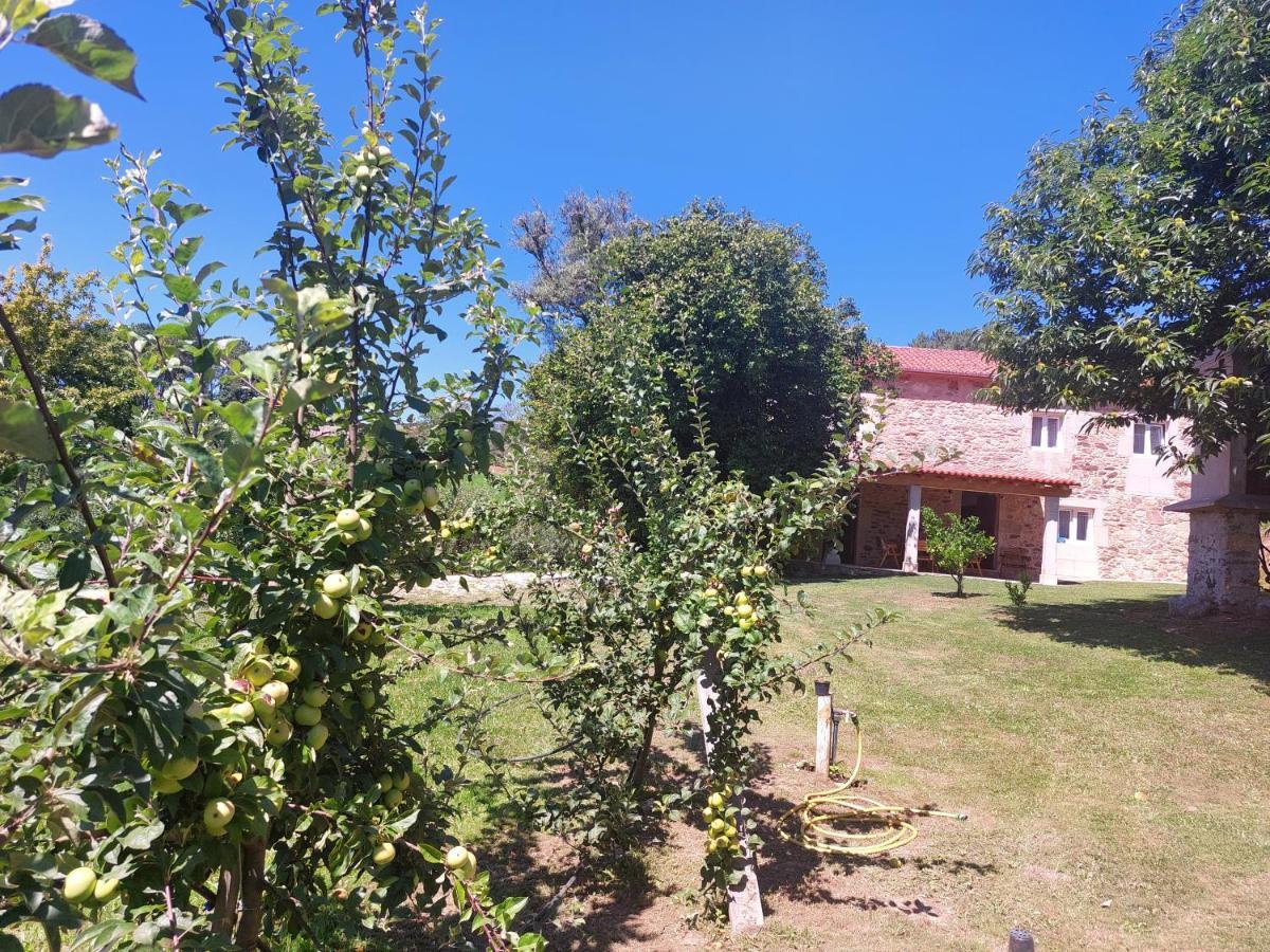 A Quinta Das Maceiras Os Casares Esterno foto