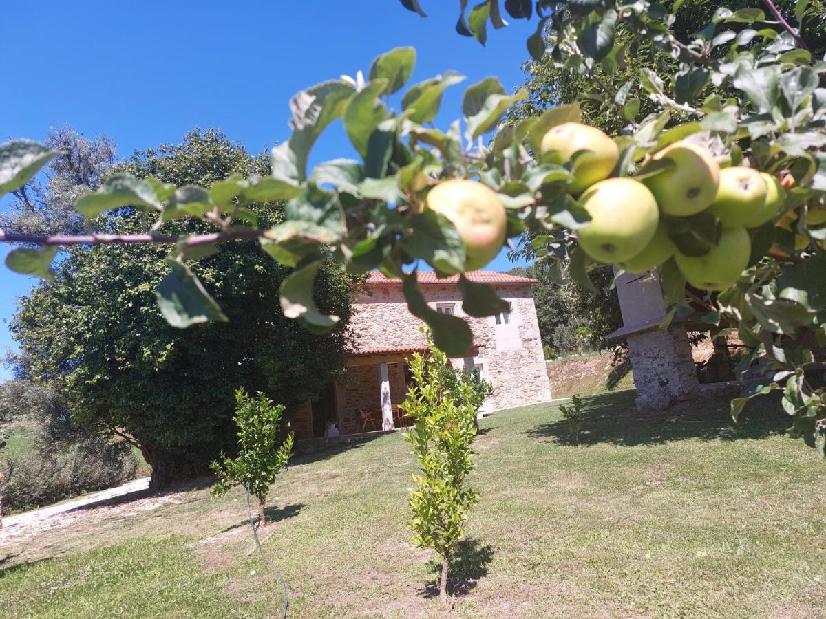 A Quinta Das Maceiras Os Casares Esterno foto